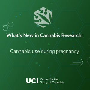 Cannabis use during pregnancy